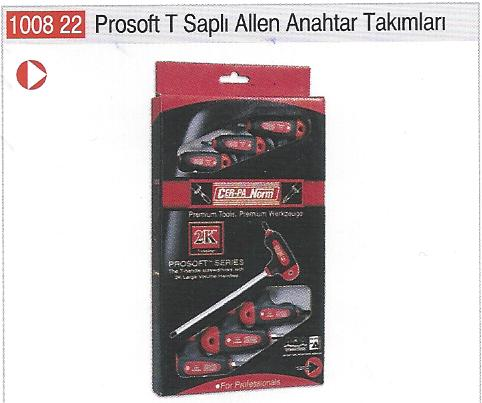 T SAPLI TORX ALLEN ANAHTAR TAKIMI 6 PRC